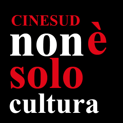Cinesud Banner Store