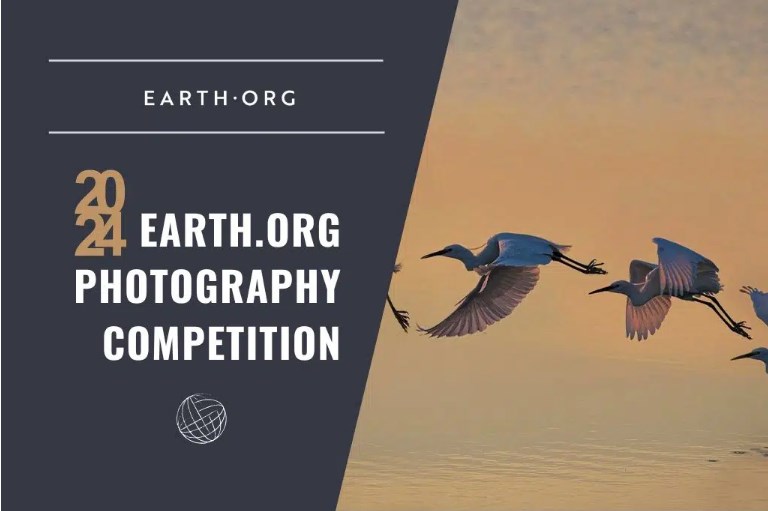 contest Earth.org PHOTOGRAPY COMPETITION